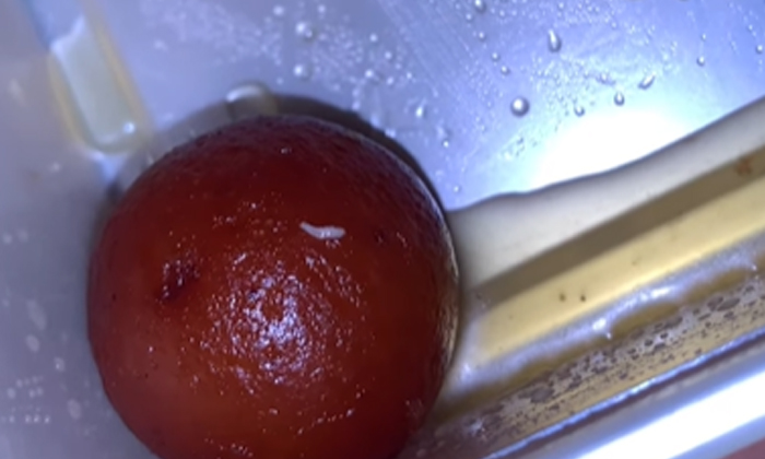  Bitter Experience For Train Passenger Worms In Gulab Jamuns Ordered, Worms, Gula-TeluguStop.com
