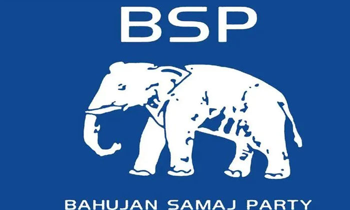  Is Praveen Kumar's Victory Certain? How Strong Is The Elephant Party , Bsp, Tela-TeluguStop.com