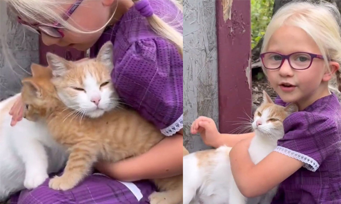  Cat Introduces Her Kitten To A Little Girl Video Viral Details, Viral News, Late-TeluguStop.com