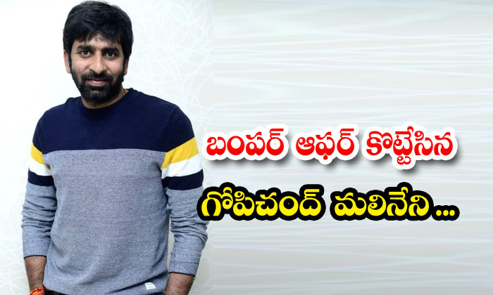 Gopichand Malineni Who Hit A Bumper Offer , Gopichand Malineni , Ravi Teja , Gopichand Malineni Who Hit A Bumper Offer , Gopichand Malineni , Ravi Teja ,-TeluguStop.com