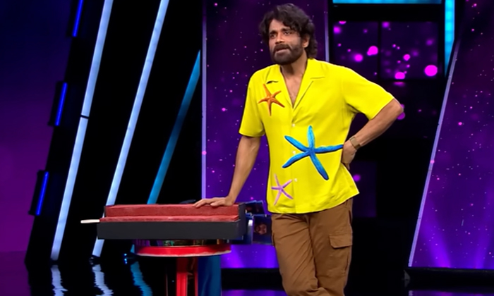 Telugu Biggboss, Nagarjuna, Yellow Cost-Latest News - Telugu