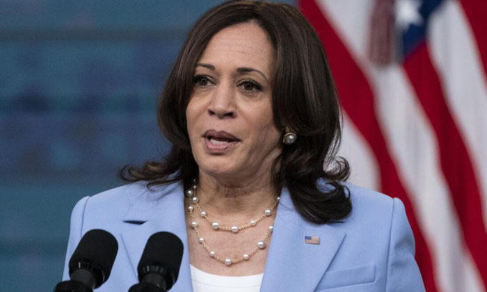 Telugu America, Indian Origin, Kamala Harris, Jersey, Jersey Senate, Republican,