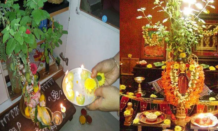 Telugu Basil, Devotee, Devotional, Hindus, Karthika Masam, Lord Vishnu, Tulsi Vi