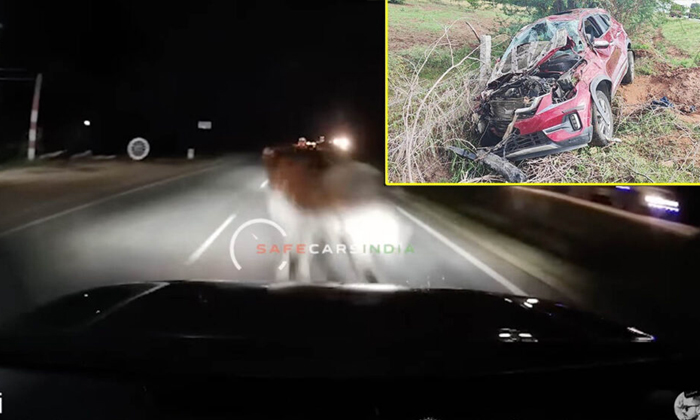  Kiaseltos Car Hit A Buffalo While Going At Lightning Speed Video Viral , Kia Se-TeluguStop.com