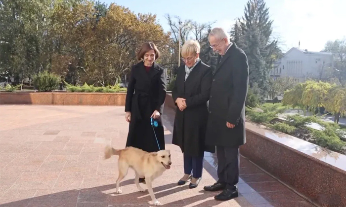  Moldovan Presidents Dog Bites Hand Of Austrian President Details, Dog Bite, Mold-TeluguStop.com