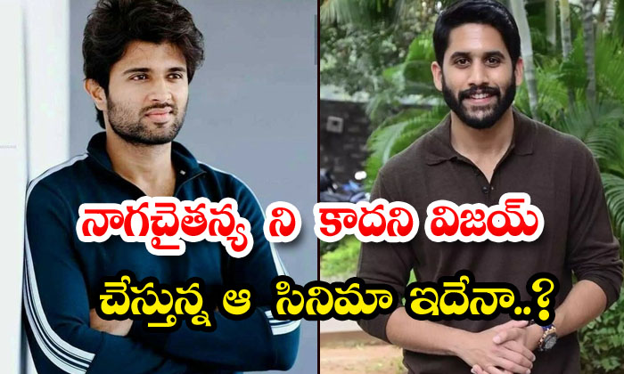  Is This The Film That Vijay Is Doing And Not Naga Chaitanya Naga Chaithanya , V-TeluguStop.com