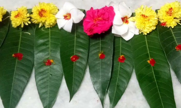 Telugu Devotional, Kartikasuddha, Nagula Cavithi, Nagulacavithi, Scholars-Latest
