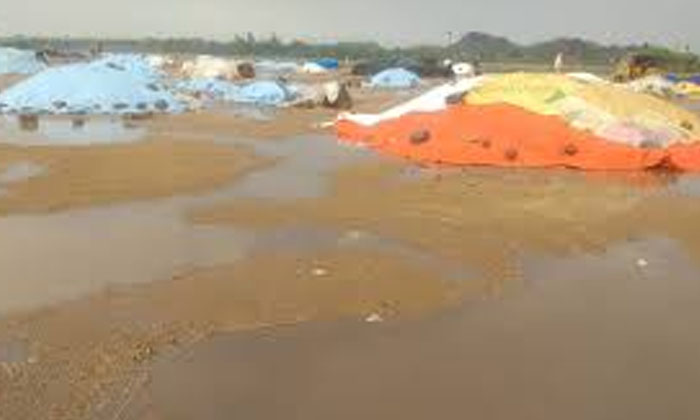  Grain Stored In Ikp Centers Gets Wet With Rain Water In Nalgonda District , Nal-TeluguStop.com