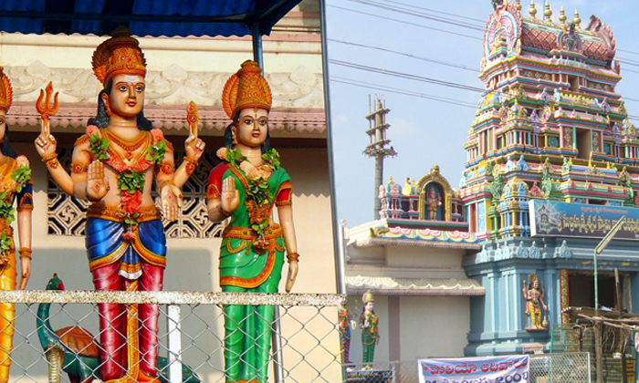 Telugu Andhra Pradesh, Bhakti, Devotional, Diwali Festival, Nagula Chavithi, Shr