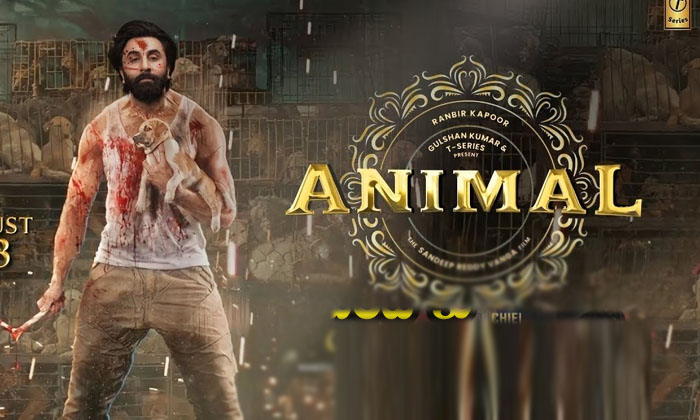  Mahesh Babu And Rajamouli Will Grace The Animal Pre-release Event, Animal Pre-re-TeluguStop.com