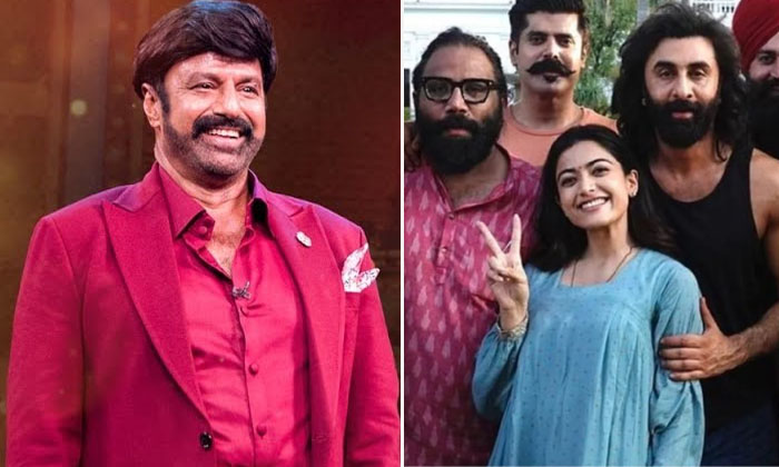  Animal Movie Team To Be The Celeb Guests On Balayya’s Unstoppable’s Episode,-TeluguStop.com