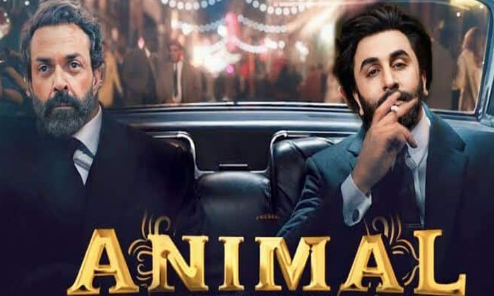 Telugu Animal, Arjun Reddy, Bollywood, Ranbir Kapoor, Sandeepreddy-Movie
