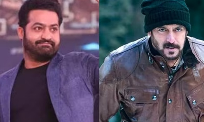  Salman Khan Is Using Junior Ntr's Name For Advance Bookings , Junior Ntr, Salm-TeluguStop.com