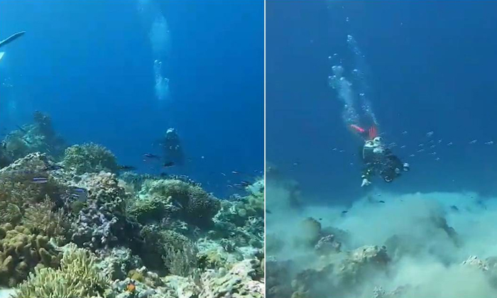  Scuba Divers Experience Earthquake Underwater Viral Video Details, Underwater Ea-TeluguStop.com