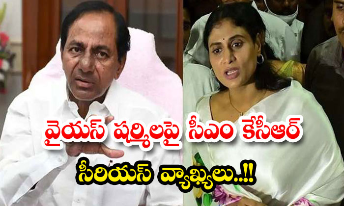  Cm Kcr Serious Comments On Ys Sharmila , Telangana Elections, Cm Kcr, Ys Sharmil-TeluguStop.com