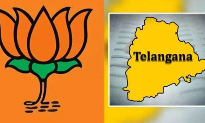  Confusion In Bjp Is Removed  , Telangana Bjp , Bandi Sanjay ,cm Candidate , Nare-TeluguStop.com