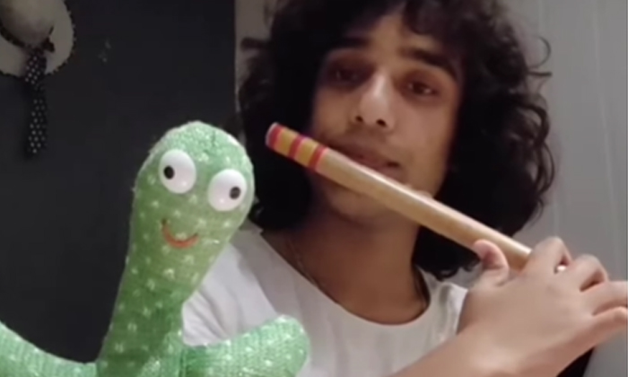  The Musician Who Played The Flute In Front Of The Dancing Cactus, Dancing Cactus-TeluguStop.com