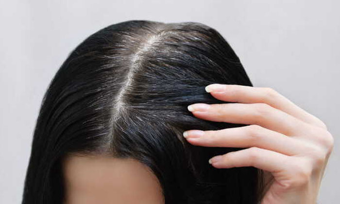  This Oil Helps To Turn White Hair Black Naturally Details! Black Hair, Hair Care-TeluguStop.com