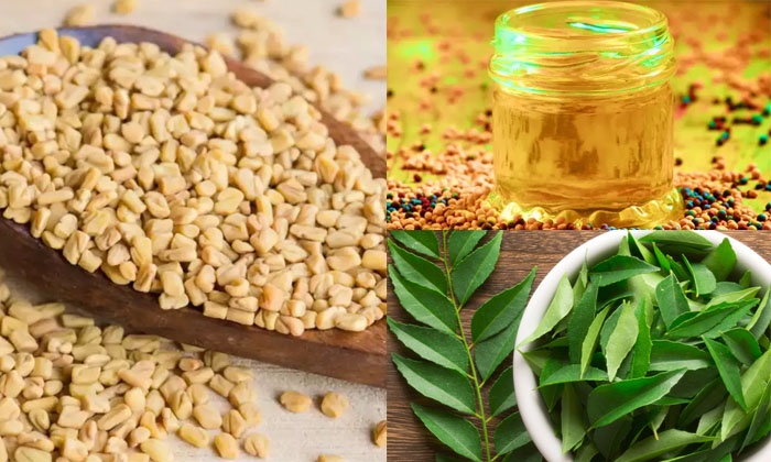 Telugu Black, Curry, Fenugreek Seeds, Care, Care Tips, Oil, Latest, Long, Mud Oi