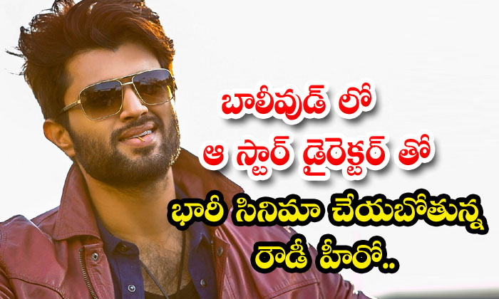 Vijay Devarakonda New Movie With Bollywood Director Details, Vijay Devarakonda Vijay Devarakonda New Movie With Bollywood Director Details, Vijay Devarakonda-TeluguStop.com