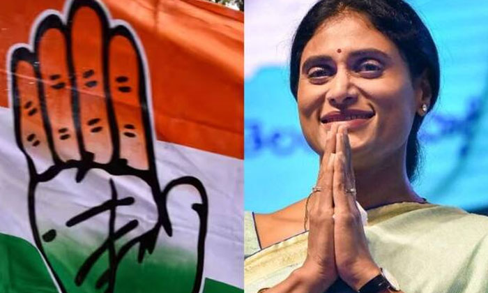 Telugu Anil Kumar, Congress, Paleru, Vijayamma, Ys Sharmila, Ysrtp-Politics