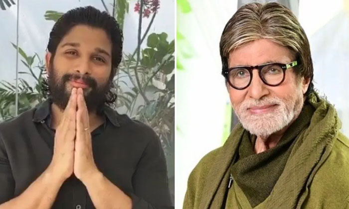  Amitabh Bachchan Talked About Allu Arjun Performance In Pushpa-TeluguStop.com