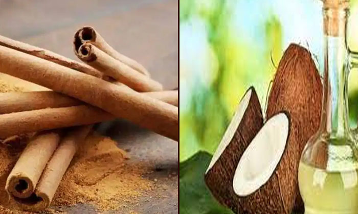 Telugu Cinnamon, Care, Care Tips, Fall, Healthy, Latest, Thick-Telugu Health