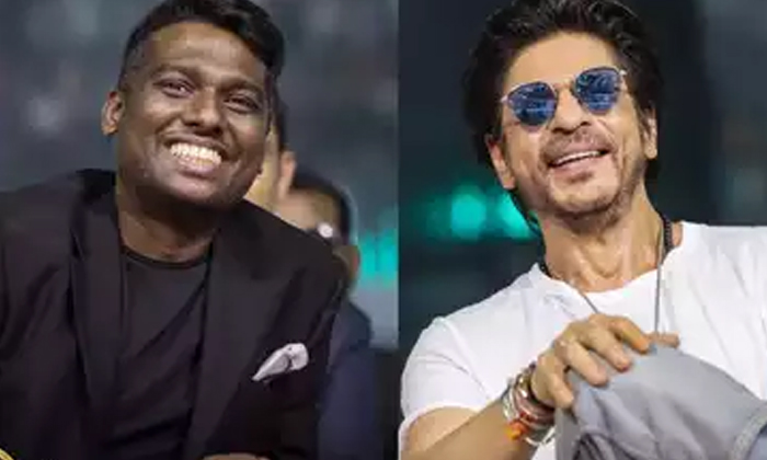 Telugu Atlee, Raja Rani, Rajamouli, Theri-Movie