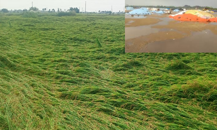  Farmers Was Troubled By The Untimely Rain In Nalgonda District, Farmers , Untime-TeluguStop.com