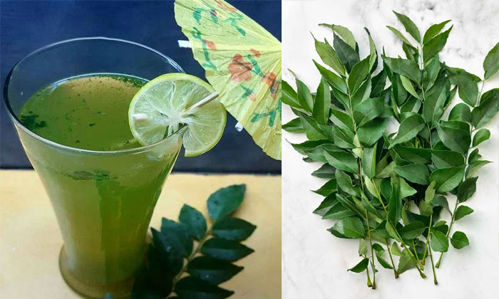  Health Benefits Of Taking Curry Leaves Water In Morning Details, Health Benefits-TeluguStop.com