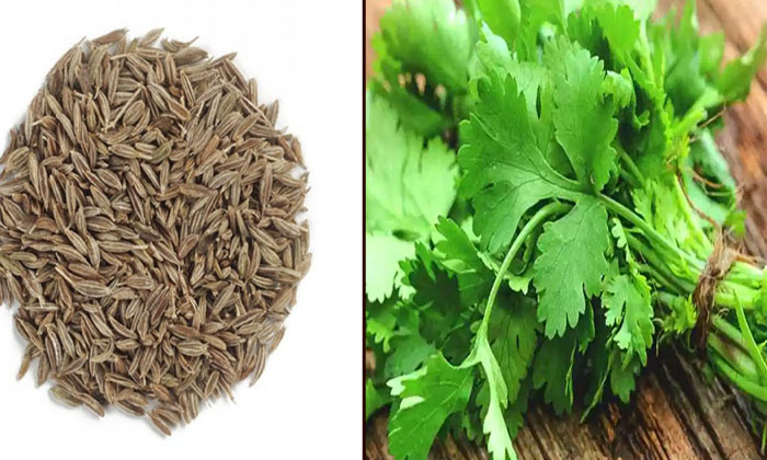 Telugu Aloe Vera, Cumin Seeds, Tips, Thyroid, Thyroid Gland-Telugu Health Tips