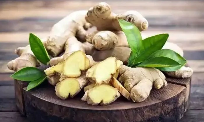  Are There So Many Health Benefits Of Using Ginger Regularly In Recipes , Healt-TeluguStop.com