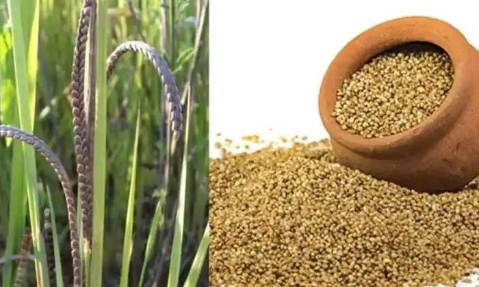  To Increase Immunity In The Body And Keep Sugar Under Control.. These Should Be-TeluguStop.com