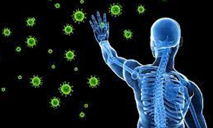 Telugu Problems, Tips, Immune System, Sleep-Telugu Health Tips Telugu Problems, Tips, Immune System, Sleep-Telugu Health Tips