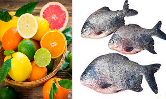 Telugu Bad, Fish, Fish Benefits, Fish Effects, Tips, Healthy Foods-Telugu Health