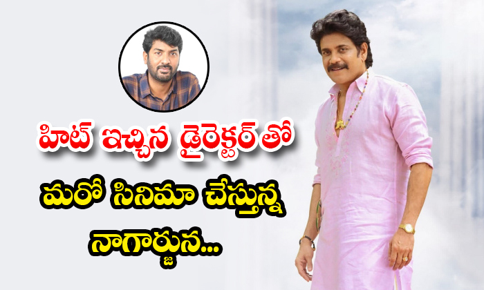  Nagarjuna Planning New Movie With Director Kalyan Krishna Details, Nagarjuna, Na-TeluguStop.com