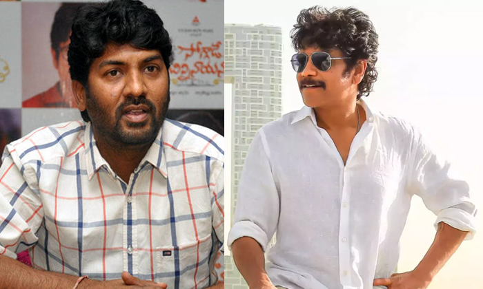  Nagarjuna Planning New Movie With Director Kalyan Krishna Details, Nagarjuna, Na-TeluguStop.com