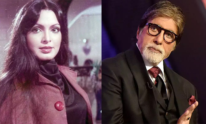  Parveen Babi About Amitabh Bachchan-TeluguStop.com