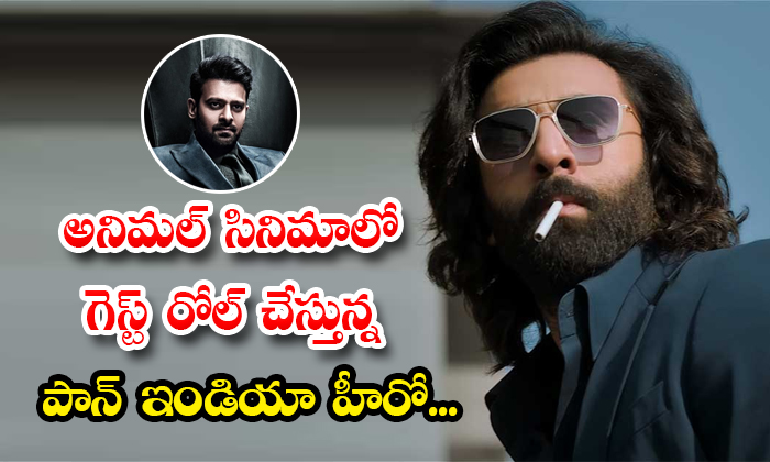  Prabhas Cameo Role In Sandeep Reddy Vanga Animal Movie Details, Prabhas , Prabha-TeluguStop.com