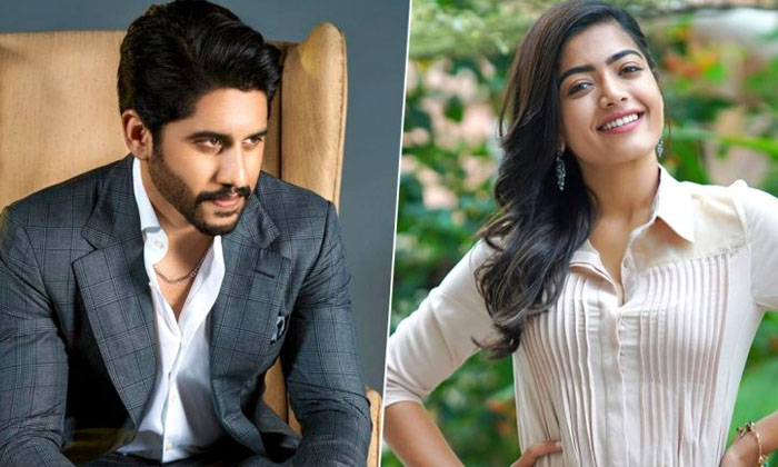 Telugu Ai, Animal, Rashmika, Naga Chaitanya, Rashmika Ai, Tollywood-Movie