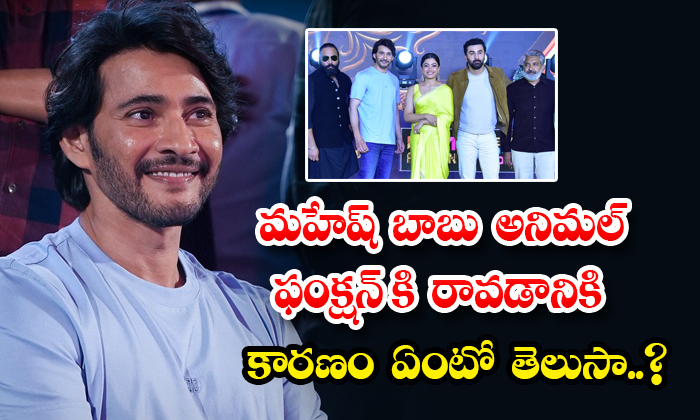  Reason Behind Mahesh Babu Attended Animal Movie Pre Release Event Details, Mahes-TeluguStop.com