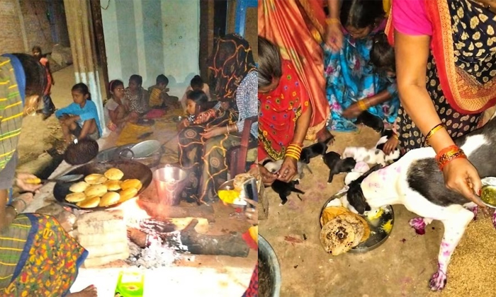  Uttar Pradesh Woman Celebrates Her Pet Dog Gave Birth To Nine Puppies Details, V-TeluguStop.com