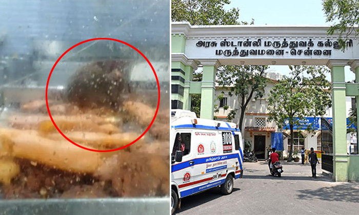  Video Shows Rat Feasting On Food At Stanley Govt Hospital Chennai Details, Hospi-TeluguStop.com