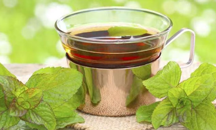 Telugu Fat Cutter Tea, Tips, Latest-Telugu Health