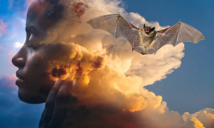  What Happens If You See Bats In Your Dreams Details,  Bats , Dreams, Bats In Dre-TeluguStop.com