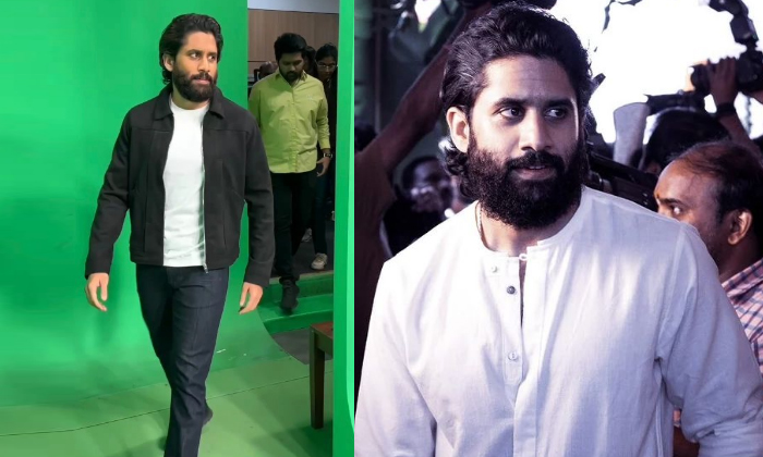  Young Hero Nagachaitanya Shocking Comments Goes Viral In Social Media Details, N-TeluguStop.com