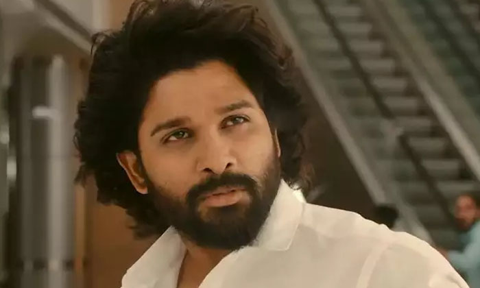 Telugu Allu Arjun, Pushpa, Sukumar, Tollywood, Zomato, Zomato Add-Movie