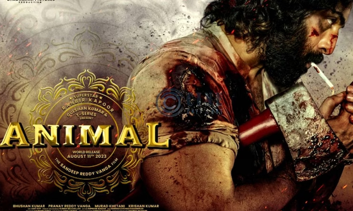 Telugu Crore Rupees, Animal, Show, Ranbirkapoor-Movie Telugu Crore Rupees, Animal, Show, Ranbirkapoor-Movie