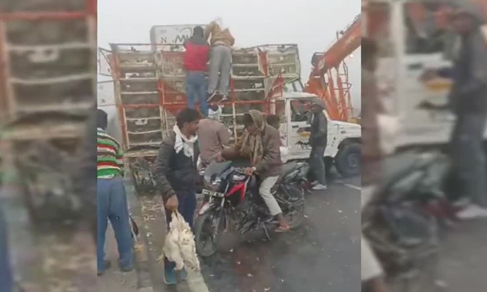  A Truck Carrying A Load Of Chickens Due To An Accident On The Highway, People Ru-TeluguStop.com