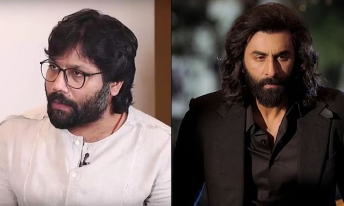  Sandeep Reddy Sensational Comments On Animal Collections, Animal, Sandeep Reddy,-TeluguStop.com